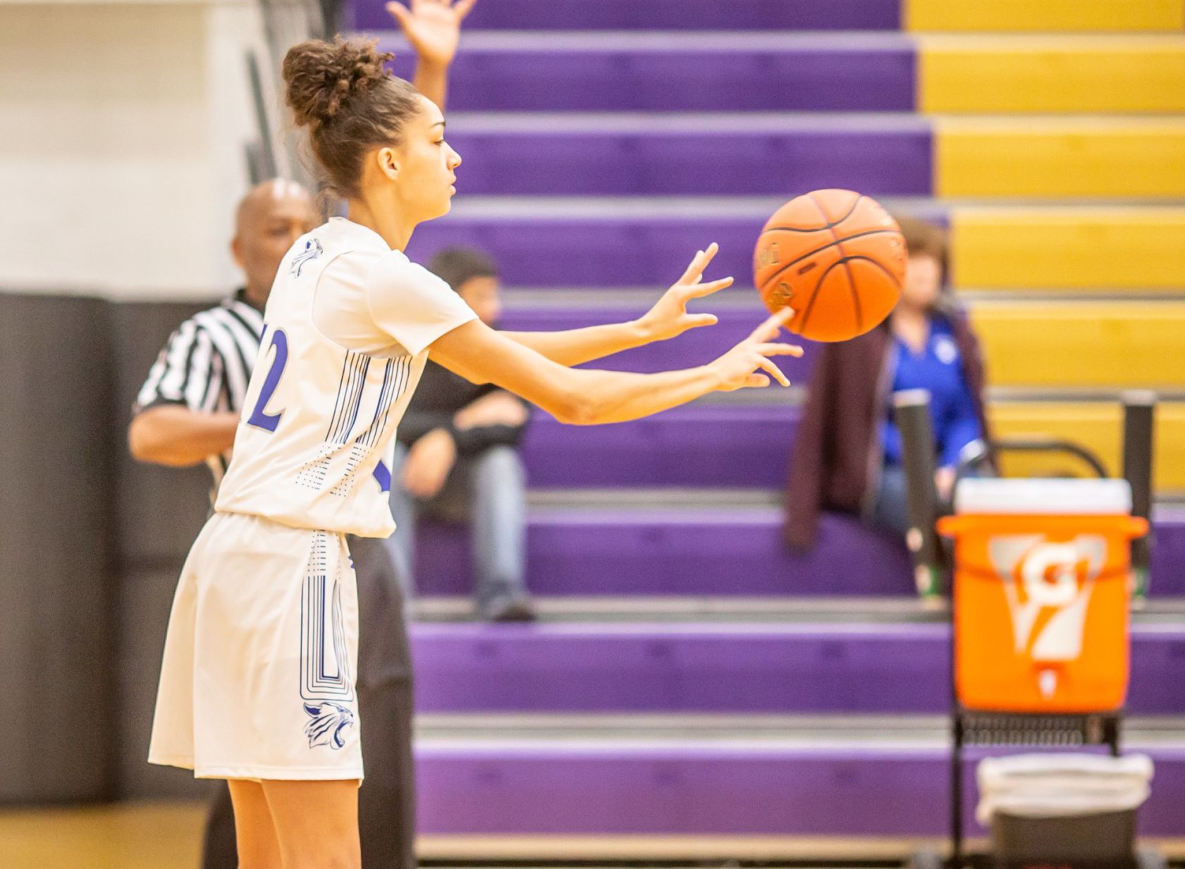 Westminster 48, Holt 42